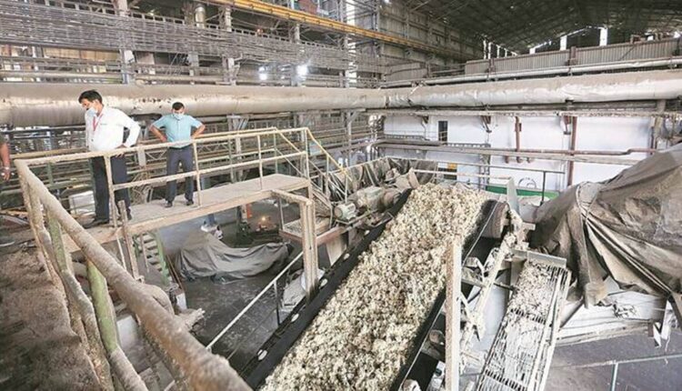 गन्ना किसान sugarcane farmers