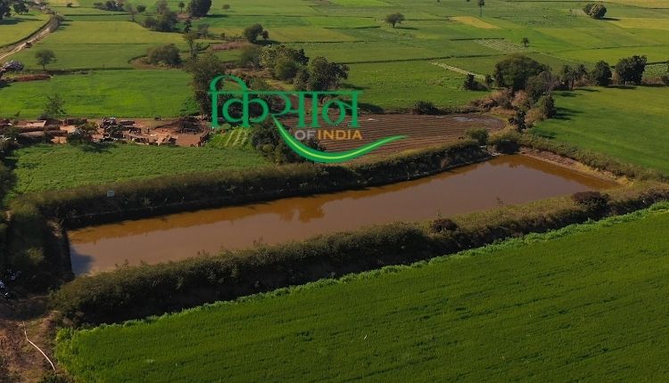 fish farming business