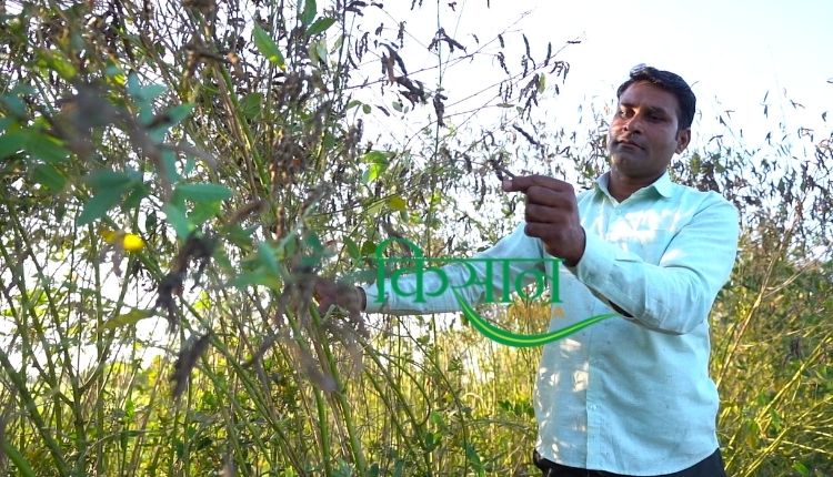 fish farming business