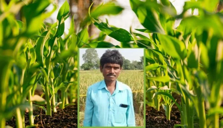 Natural farming