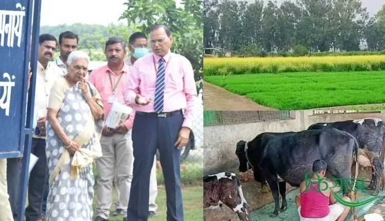 Integrated Agriculture