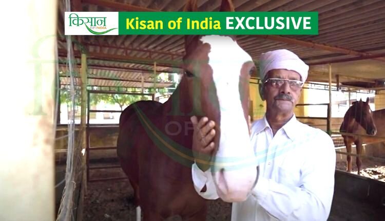 horse rearing