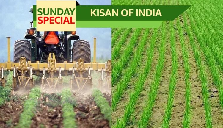 direct sowing technology