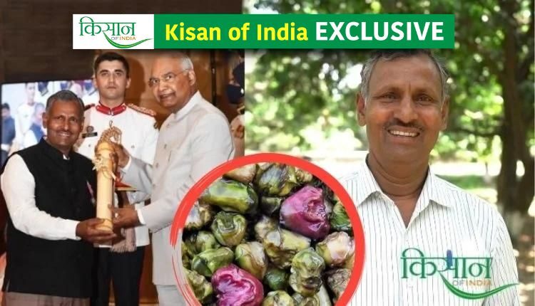 Cultivation of water chestnut: Instead of pond, water chestnut was grown in the field, know about the experiments of Padma Shri awardee Sethpal Singh