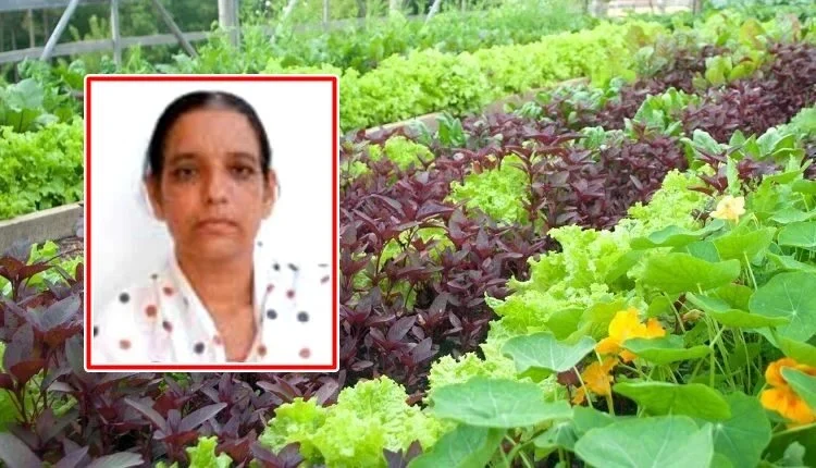 organic kitchen garden