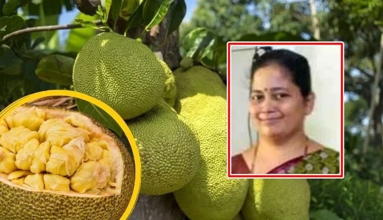 Jackfruit Cultivation