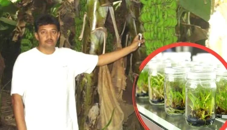 Tissue culture technique