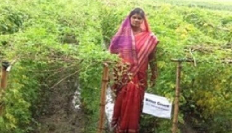 Women Entrepreneurship