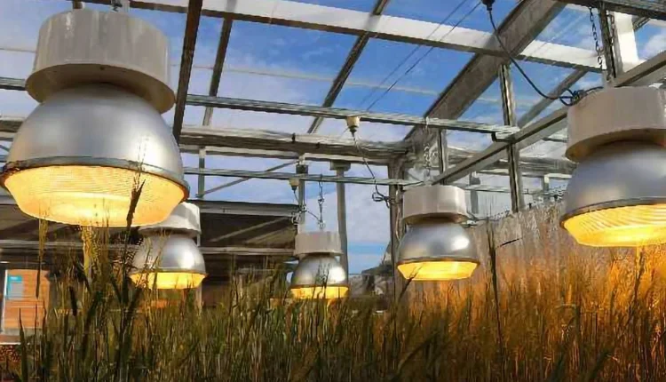 Gayaprasad Khor: Inspiration of innovation in agriculture with new agricultural techniques