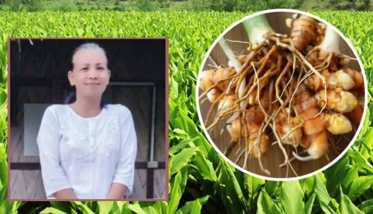 Turmeric cultivation helped her become an entrepreneur