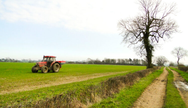 nitrogen management