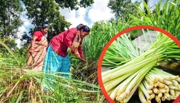 Arunaben changed the lives of uneducated women of the village through Self Help Group (SHGs), Journey from zero to become self-reliant today