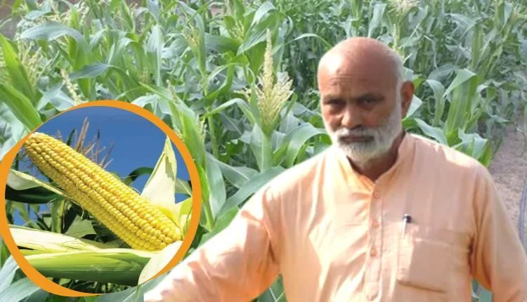 Kanwal Singh Chouhan gives guarantee price to farmers