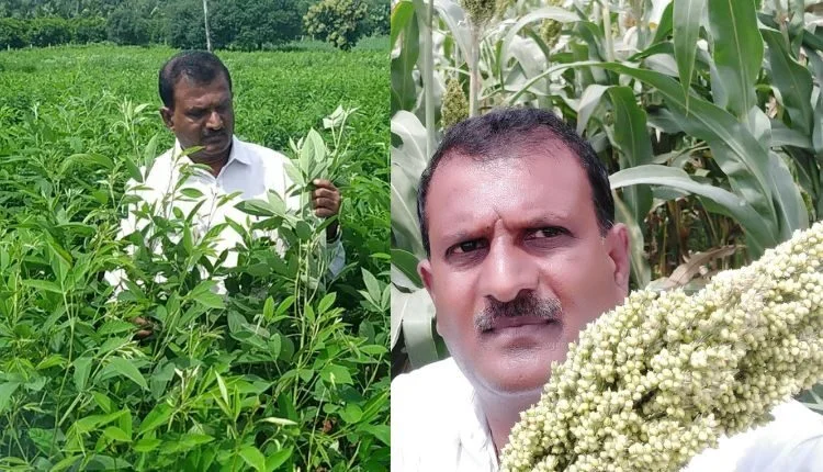 How 'Millet Man' worked from employment to market system?