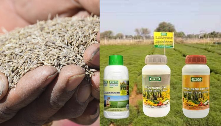 Nano fertilizers are a boon in cumin cultivation