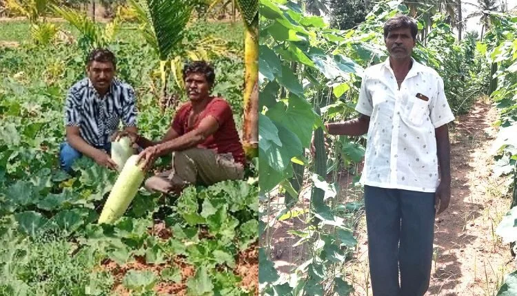 Farmers benefited from participatory seed production