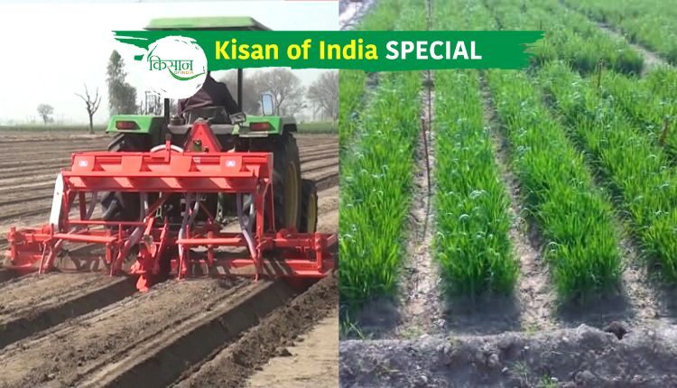 Raised Bed Planter is useful to handle climate change challenges