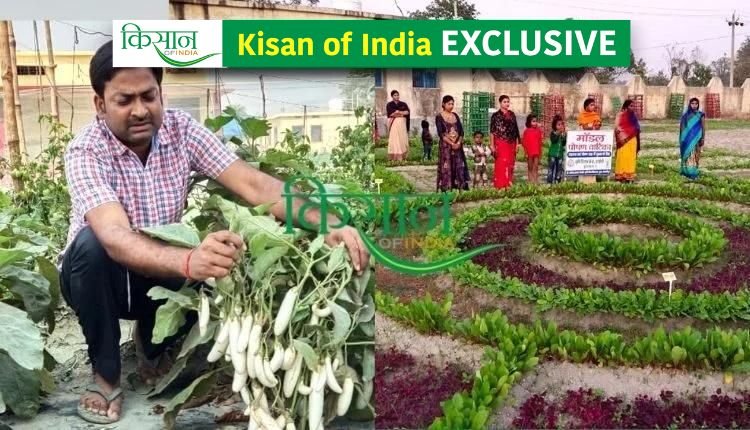What is the model of nutrition garden? Know from Agricultural Scientist Dr. Abhishek Pratap Singh how to make Nutrition Garden at home
