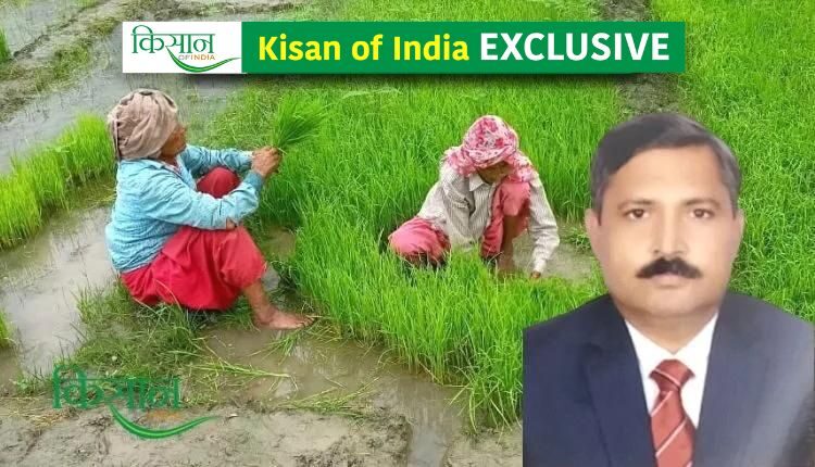 Advanced methods for Paddy Cultivation