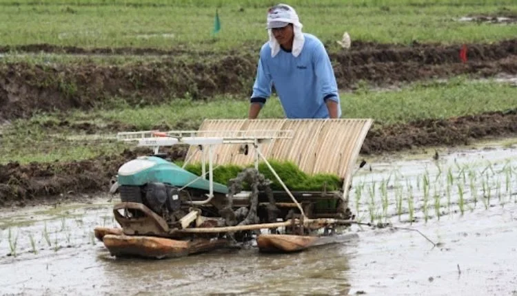 Less cost, more income from Rice Transplanter machine