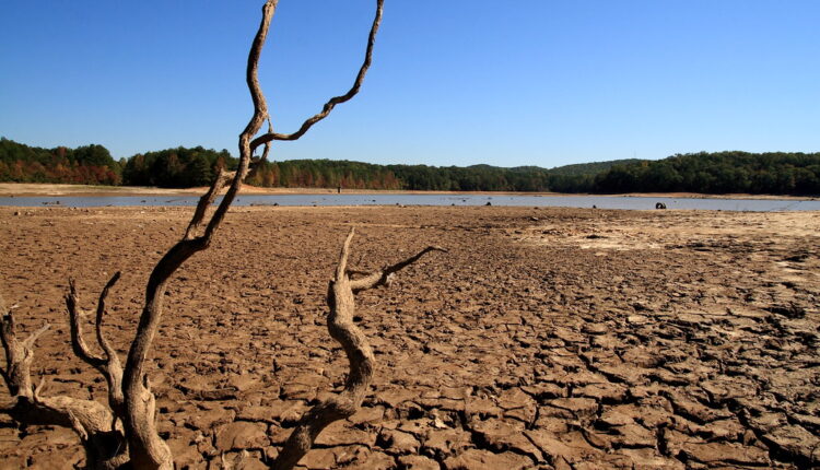 Drought in figures 2022': increase by 29%