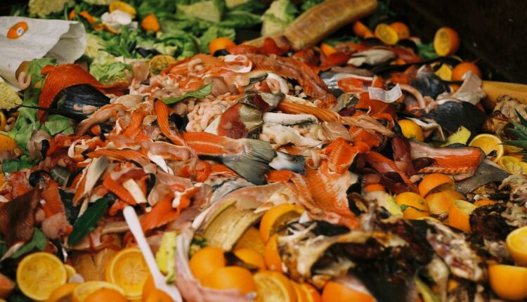 Sustainable food cold chains reduce waste, fight climate change