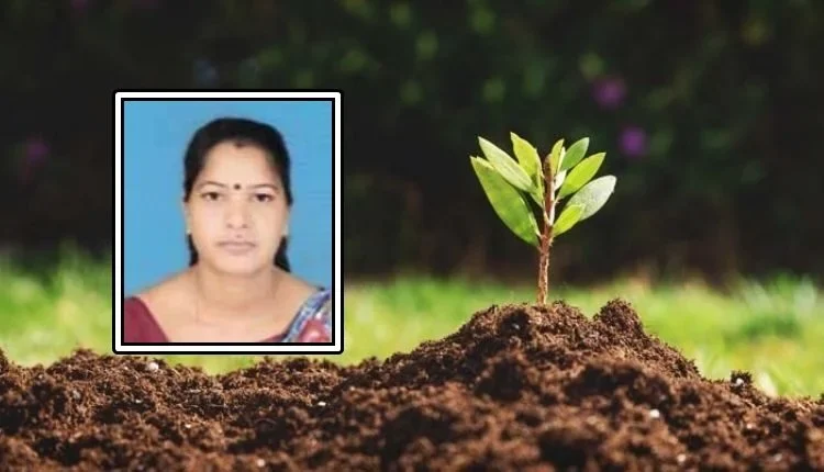 Barren land made fertile with cow dung manure