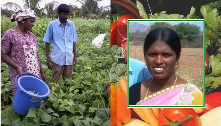 Advanced Vegetable Farming techniques increase quality and yield