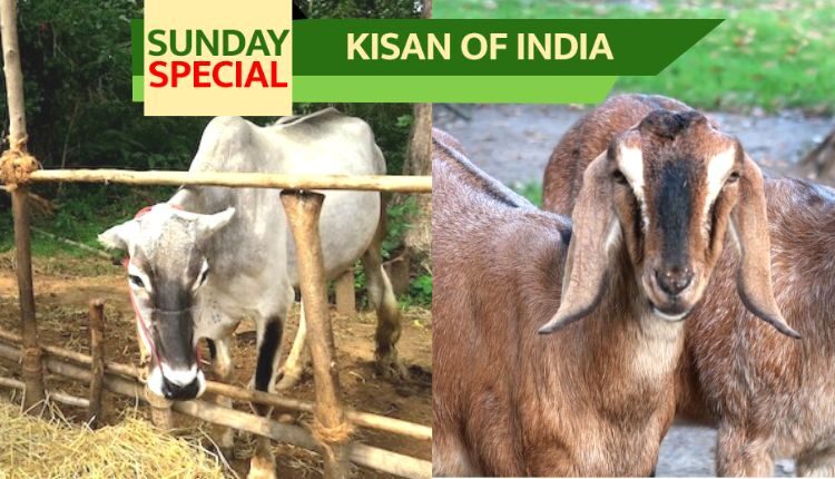 Organic Animal Husbandry is a great package