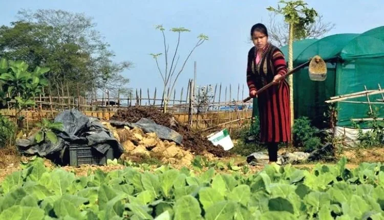 Organic Farming: How are women leading the organic farming revolution in rural areas?