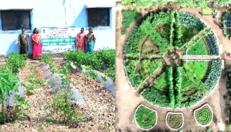 Why is the model of Poshan Vatika a hit?