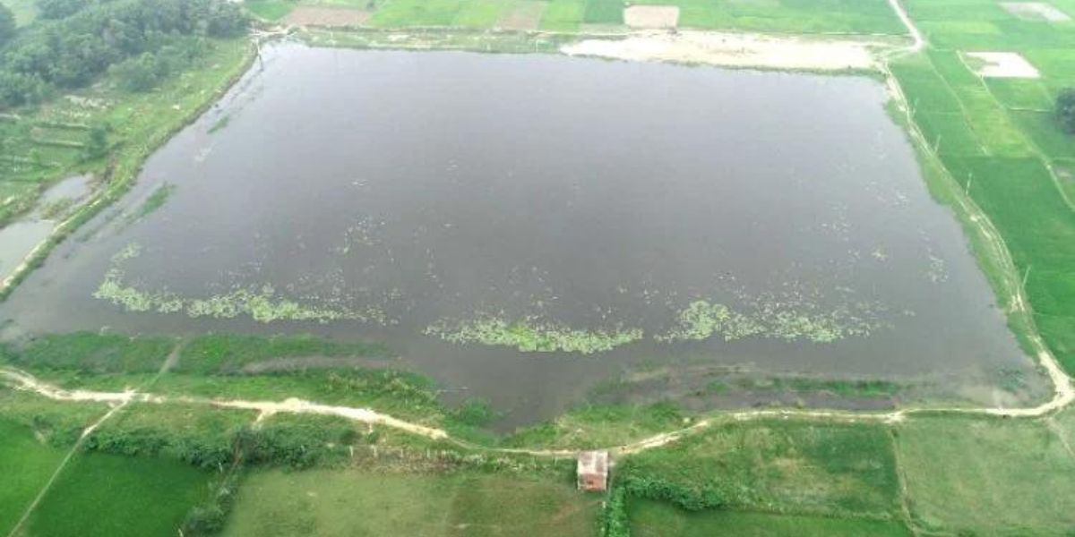 Makhana Farming
