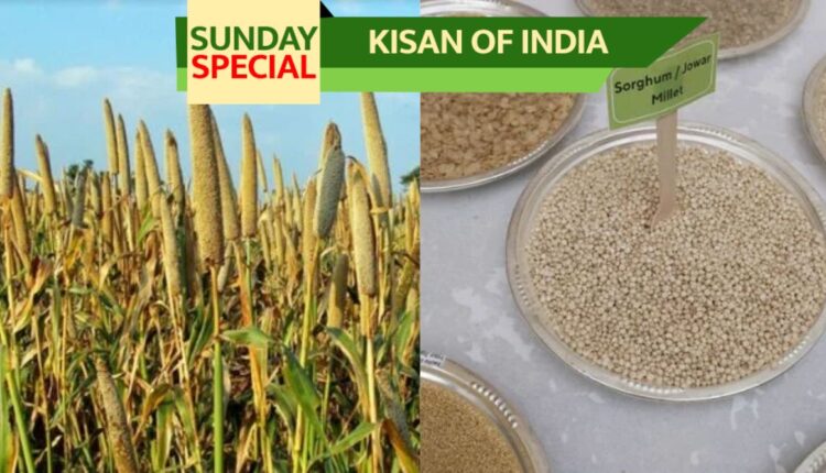 Nutritious Grain Year 2023