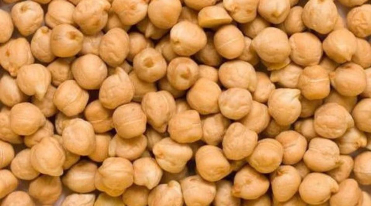 chickpea cultivation