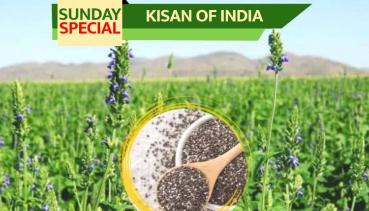 Chia Farming