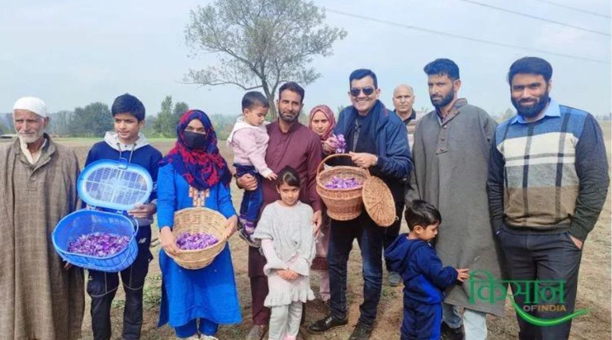 Saffron Cultivation