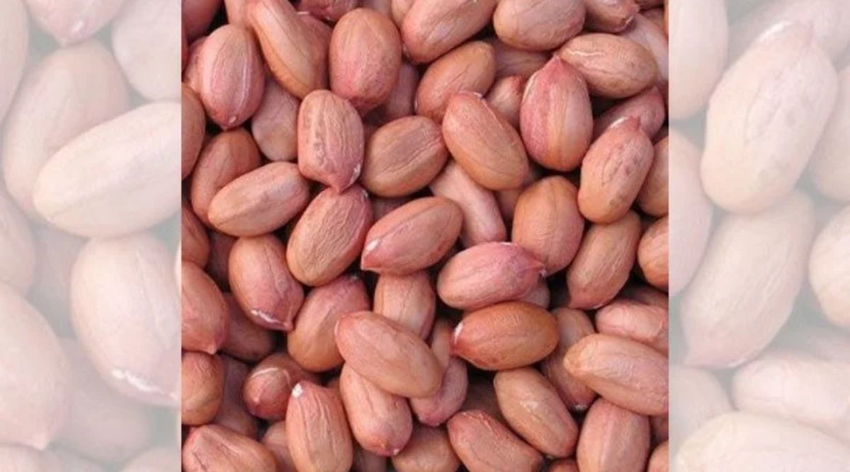 Groundnut Cultivation