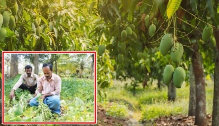 Integrated Farming