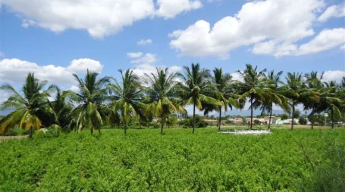 Integrated Farming