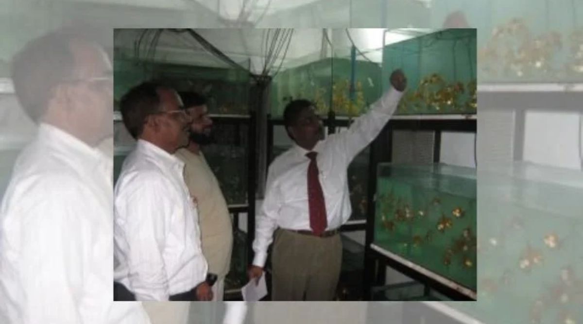 Ornamental Fish Farming