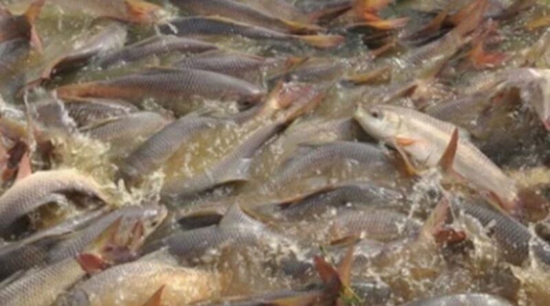 Shiv Prasad Sahni, the progressive farmer who brought revolution in fish farming and integrated farming