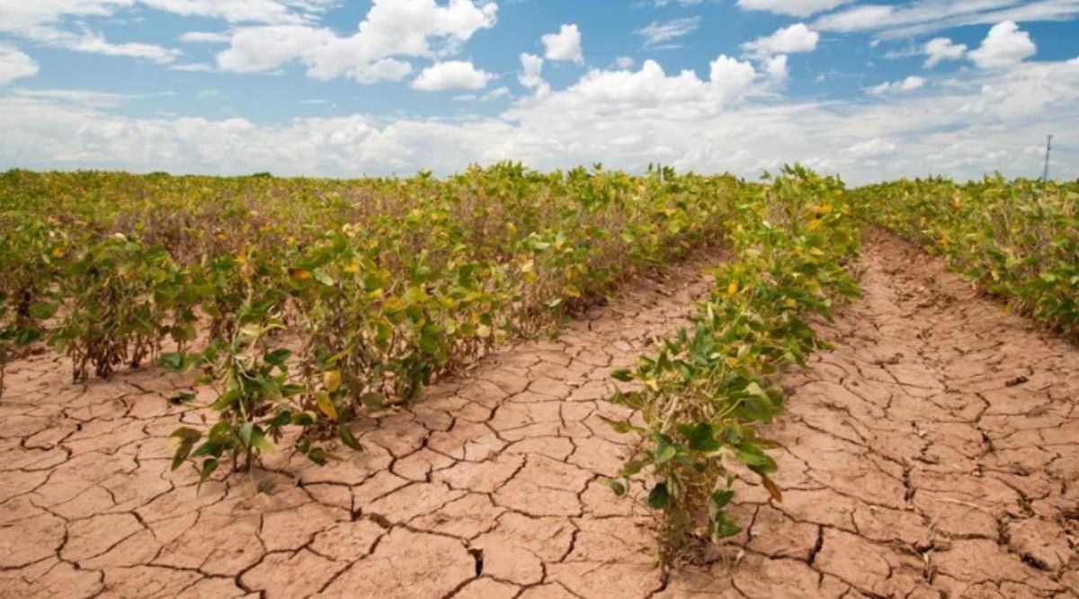 Climate Change