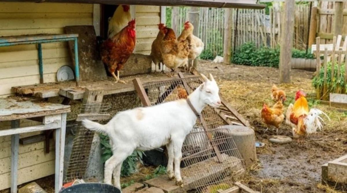 Agri Business