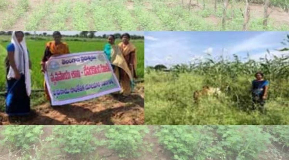 Agri Business