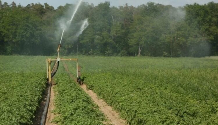 UP Trains Over 20 Lakh Farmers Through Kisan Pathshala Program