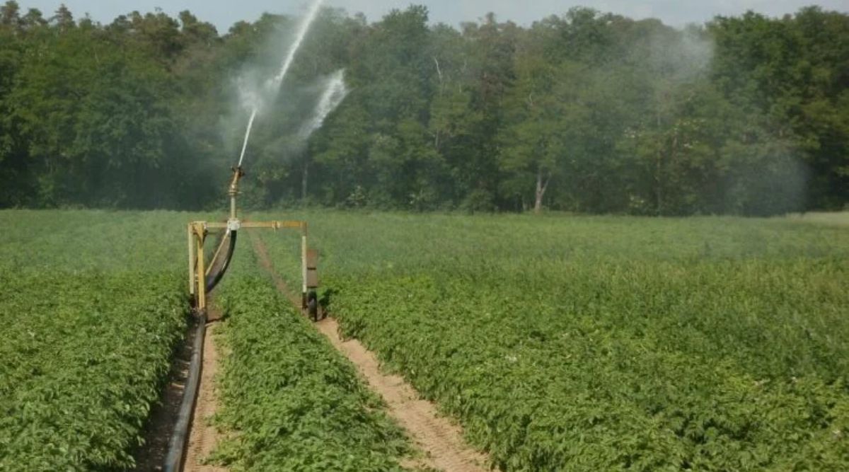 Soil Nutrients