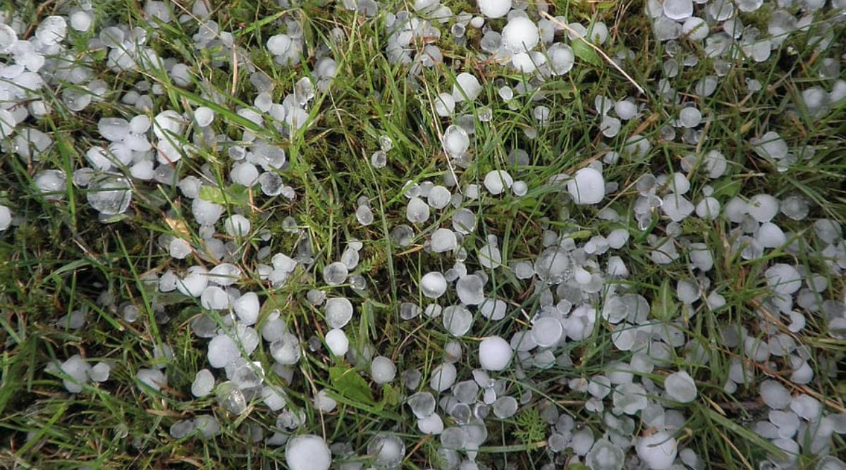 Hailstorms