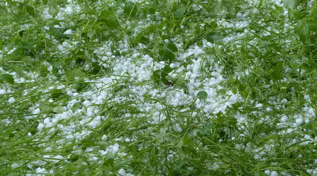 Hailstorms