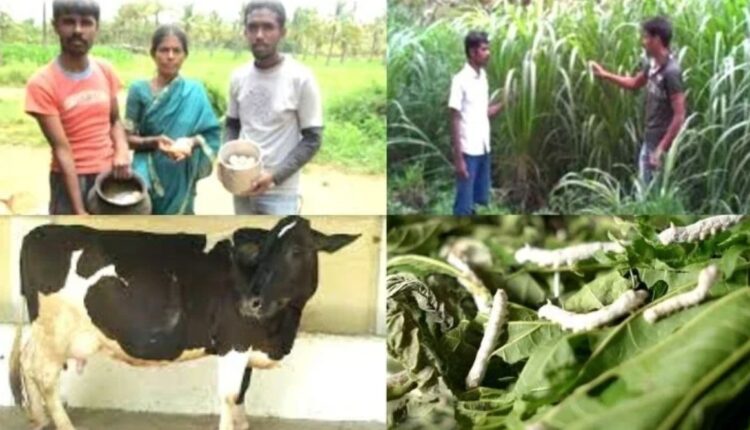 Integrated Farming