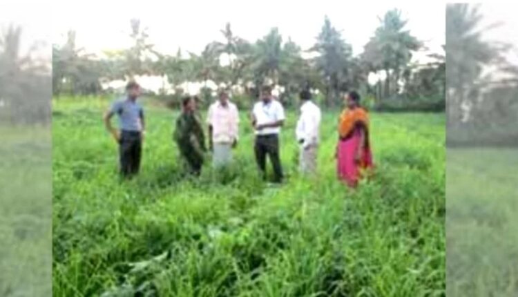 Integrated Farming